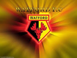 Watford seal topsy-turvy Premier League promotion
